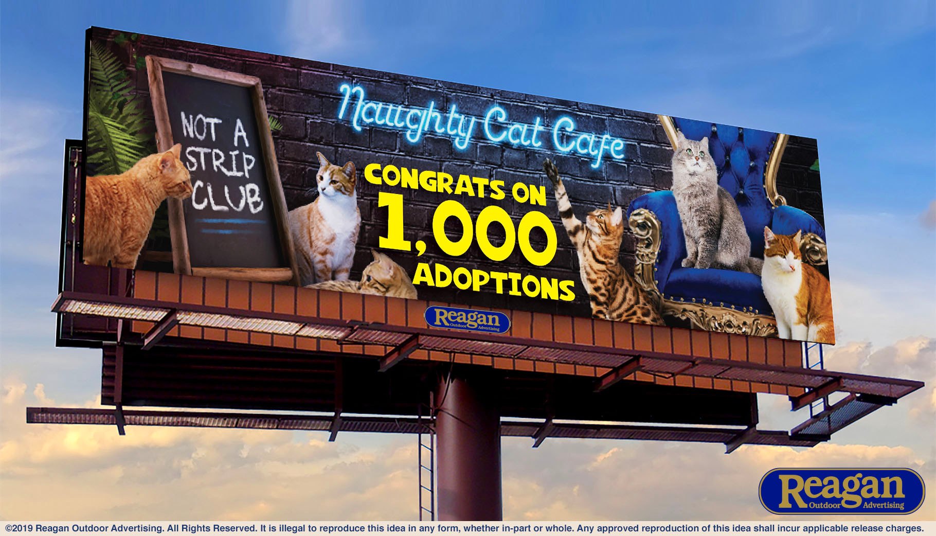 481084523_1260101786116398_5296132428152816938_n